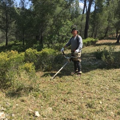 débroussaillage la ciotat ceyreste aubagne cassis carnoux