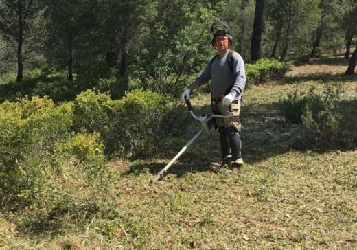 débroussaillage la ciotat ceyreste aubagne cassis carnoux